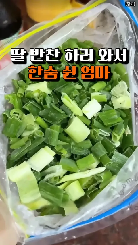 [495] 친정엄마 대파 보관법