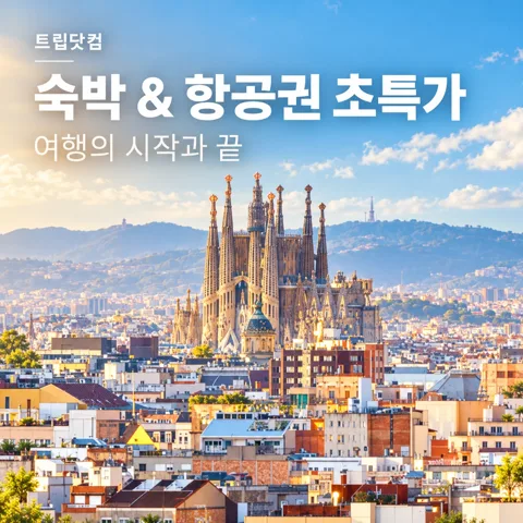 🛫트립닷컴 특가 항공&숙소🛫