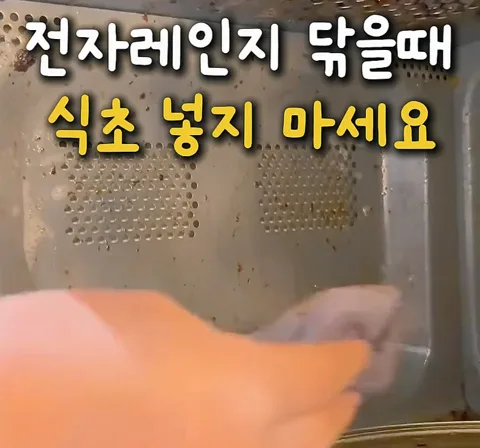 72. 전자렌지 청소는 이것