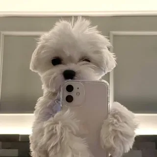 몽뭉상점