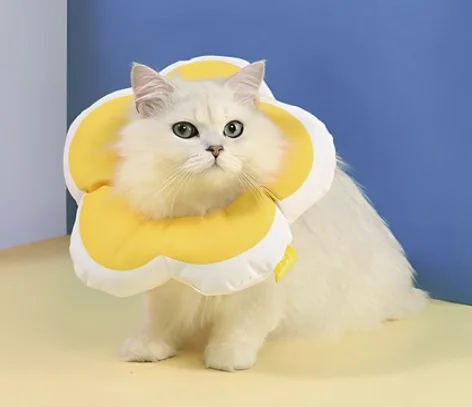 1. 힐링타임 키티요요 반려동물 넥카라