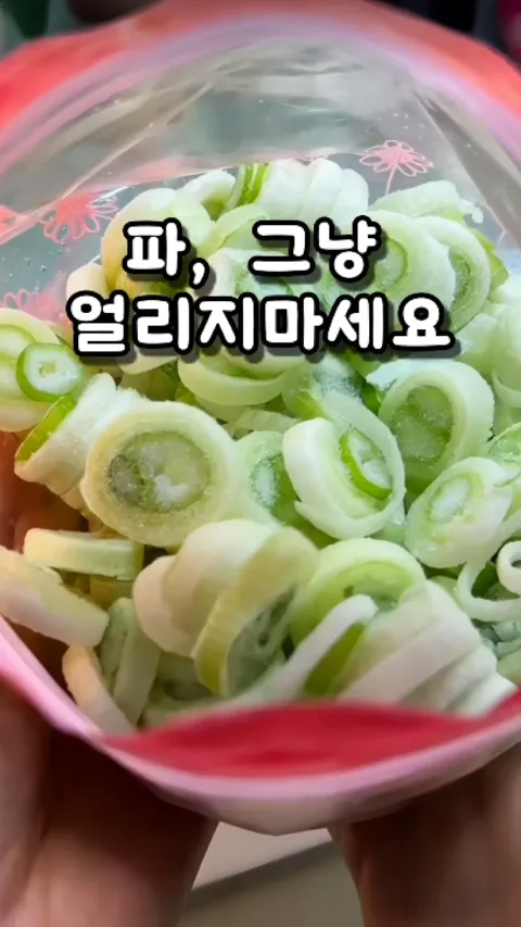 [34.]파 냉동 보관 꿀팁