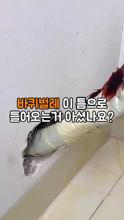 0033. 배관 틈새 보수제