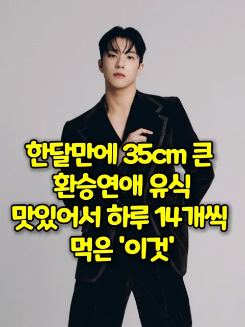 468. 유식 양파간식