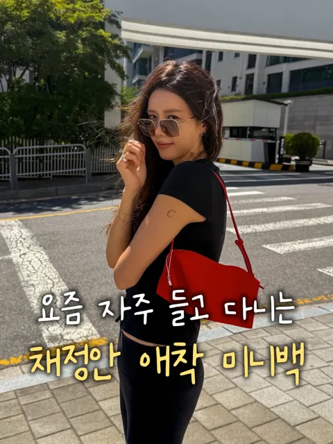 채정안 레드 미니백