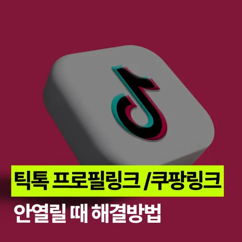 틱톡에서 외부링크 안 열릴 때?