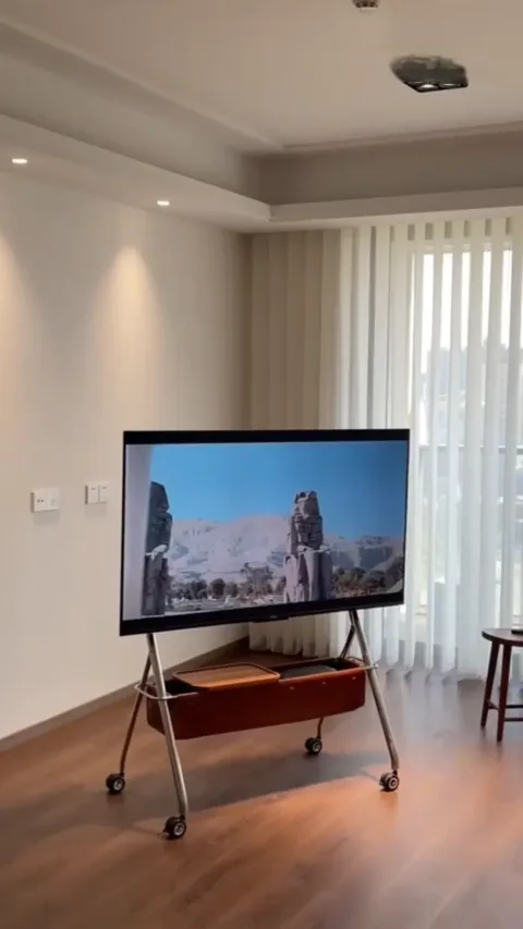 30. 이동식 TV 스탠드