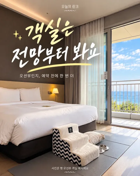 001｜강릉 세인트존스호텔 · 날짜별 객실·예약 확인
