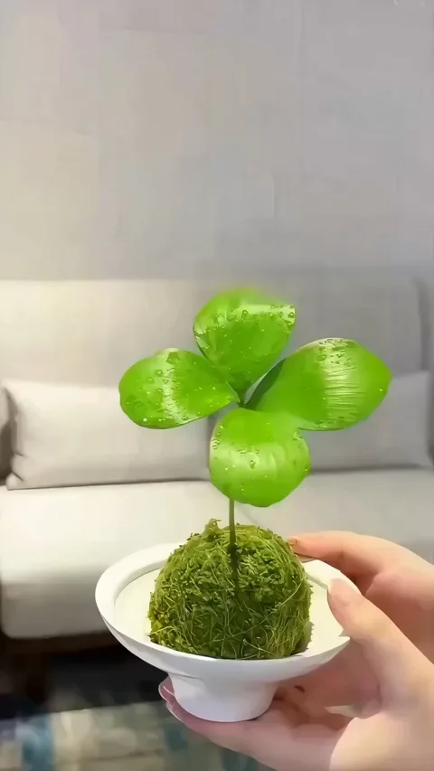 105. 네잎 클로버 식물 🍀