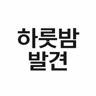 하룻밤발견