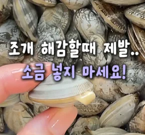 13. 조개 해감 꿀팁