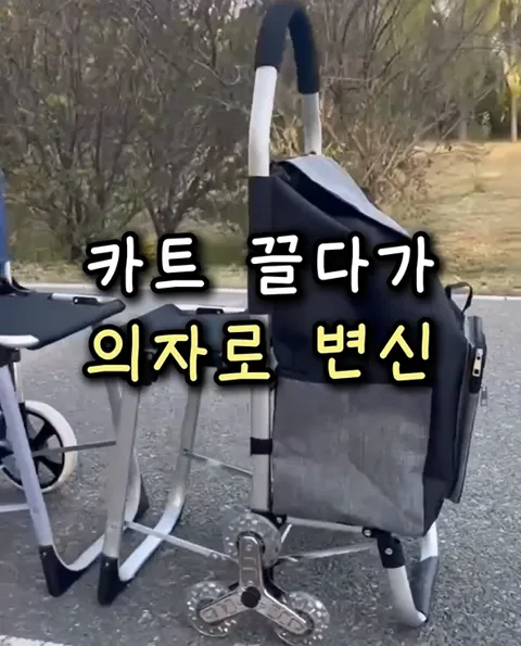 173. 쇼핑카트의자