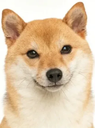 maru