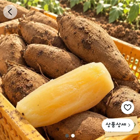 228. 고구마 아님 주의!