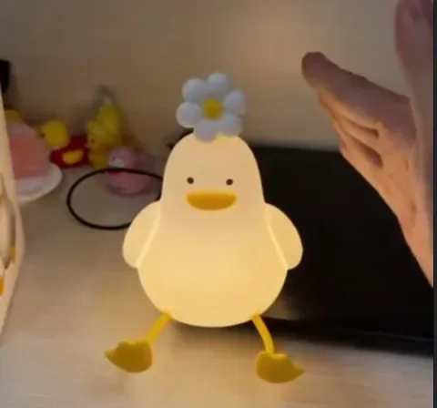 오리 무드등
