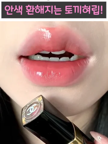 168. 샤넬 토끼혀립
