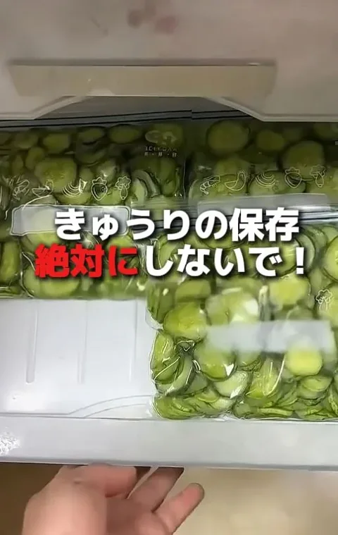 14. きゅうりが2倍長持ち！保存アイテム