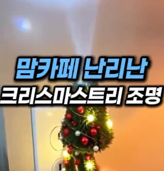 [36] 크리스마스 치트키 조명