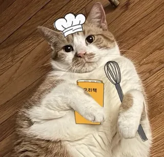 요리피기