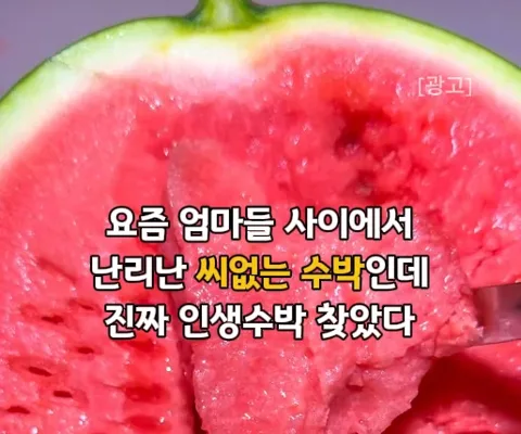 🍉 씨없는 수박(산지직송)