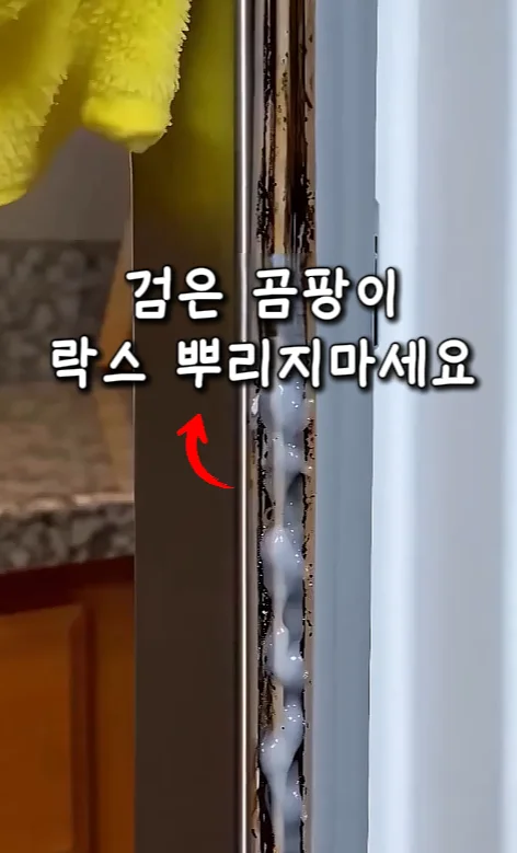 42. 검은 곰팡이제거