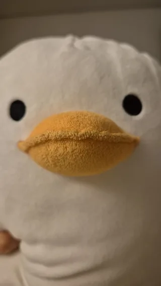 오덕이와 오순이의 부리벌어지는 일상
