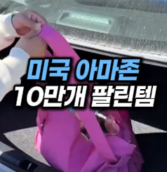 [32] 미국 10만개 팔린 장바구니