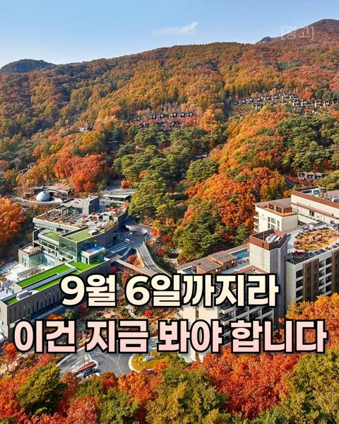 167번. 리솜리조트 특가