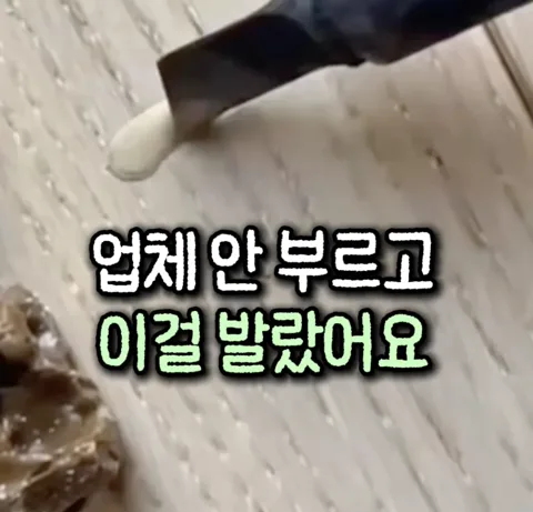 35. 바닥 보수제
