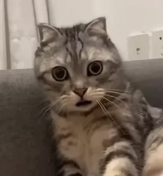 lululilymom