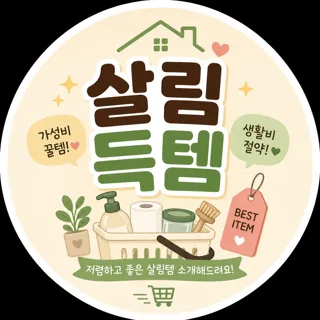 살림득템