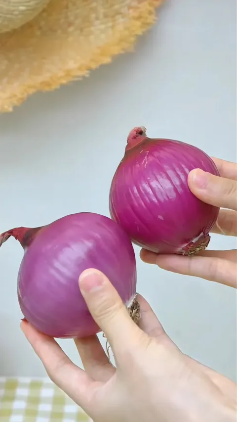 9. 양파보관재료