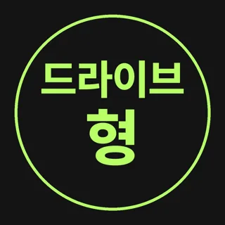드라이브형 차량템 모음