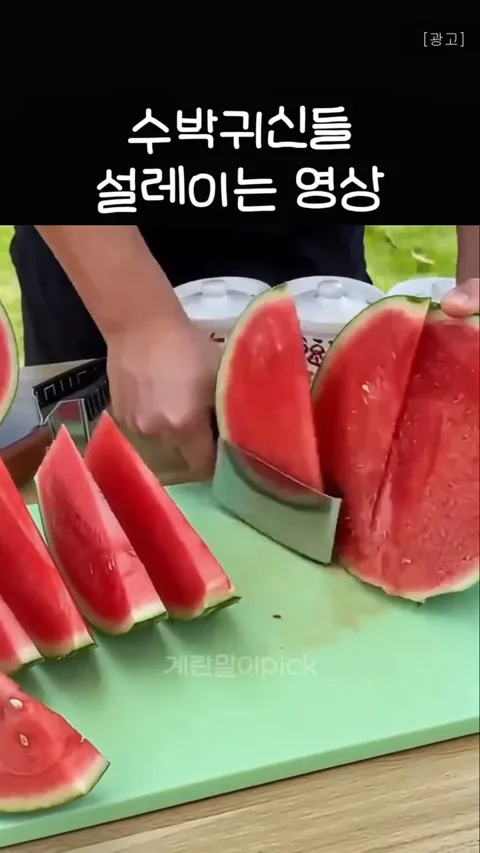 수박칼
