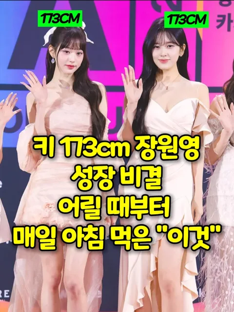 464. 장원영 키 비결