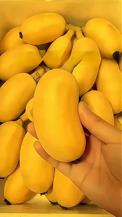 12. 希少 フルーツ バナナ 🍌