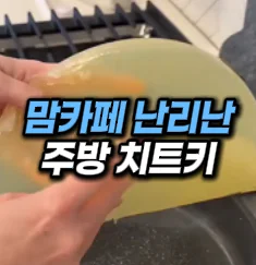 [33] 조리 후 기름 응고제