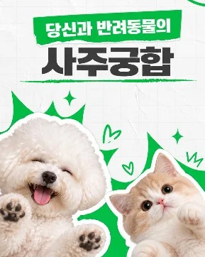 [궁합] 말 못해서 더 애틋한 우리 사랑