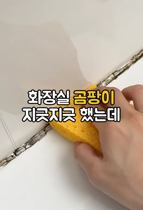 0029. 화장실 곰팡이 제거제