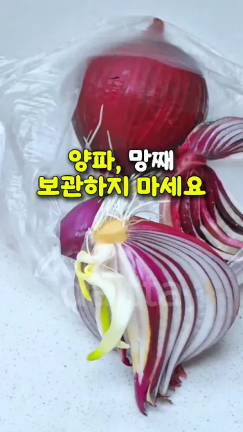 [45.] 양파 보관 방법