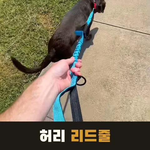 <29번> 핸즈프리 리드줄 + 파우치