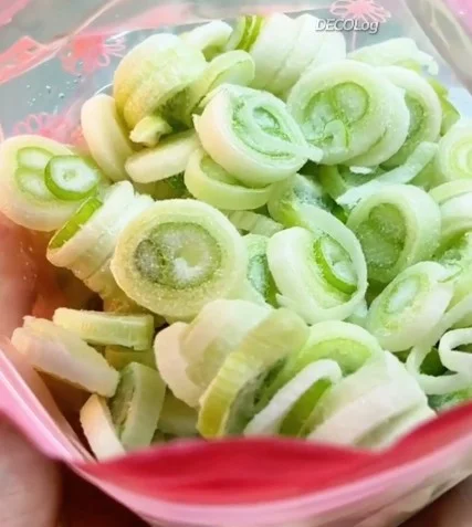 [559] 대파 냉동보관 비결