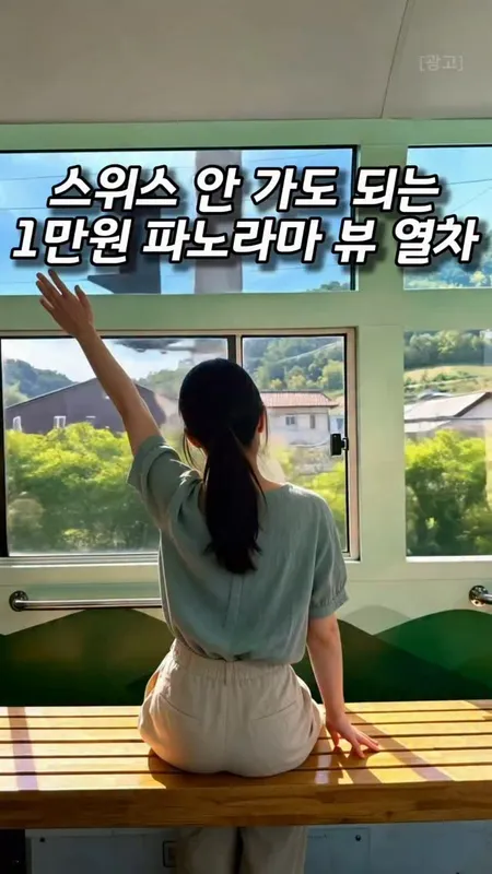 [036] 스위스 안 가도 되는 1만원 파노라마 뷰 열차