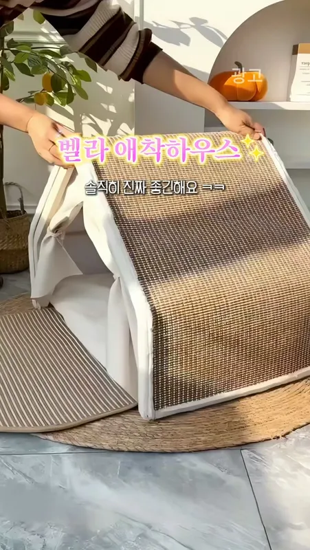 벨라홍시의 애착하우스