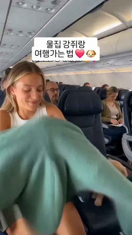 10. 강아지 포켓 후드티