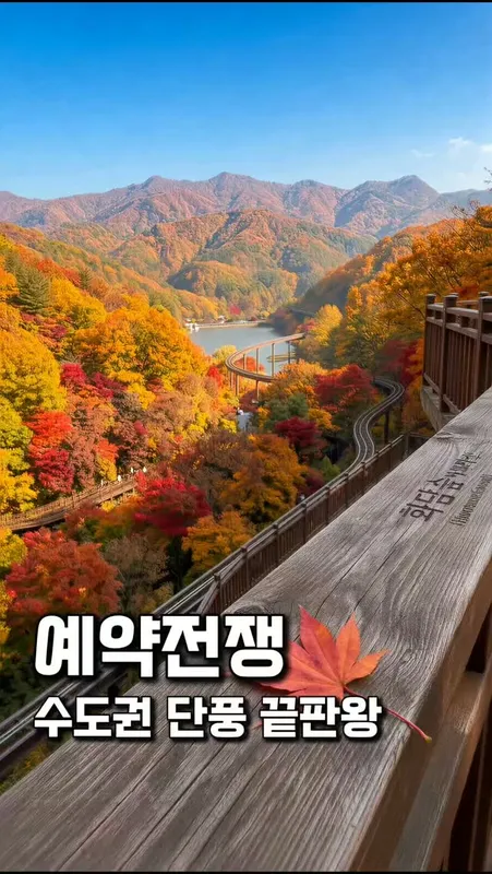 21. 화담숲