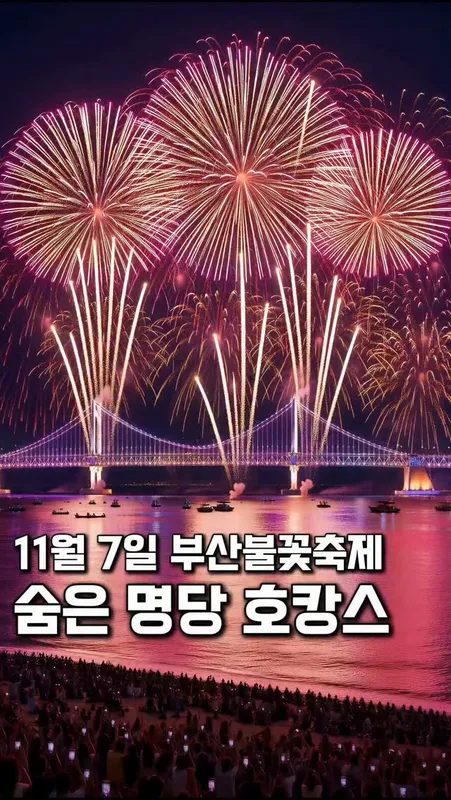 50. 부산 불꽃축제 11월7일