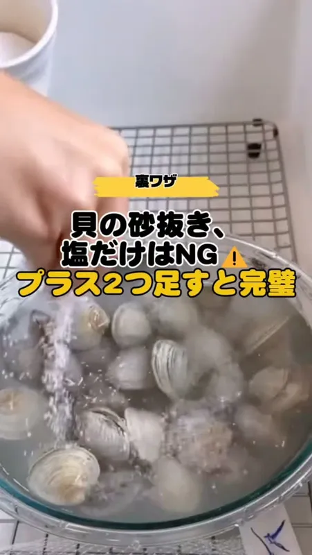 21. 貝の砂抜き