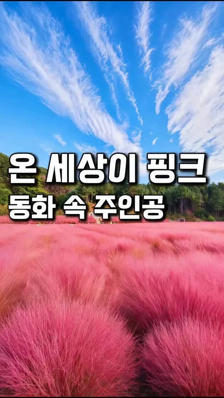 40. 핑크 핑크
