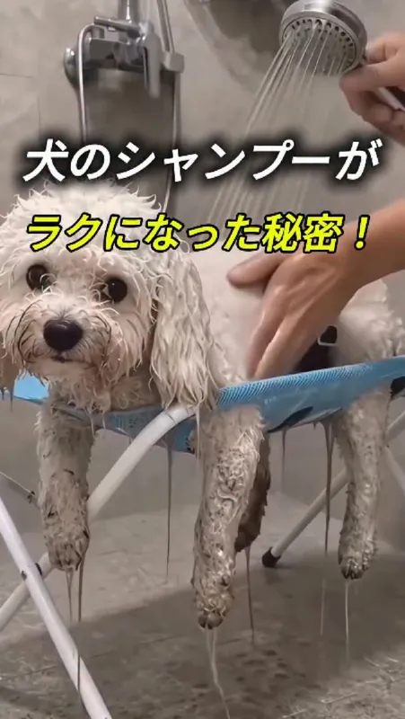30. 犬のシャンプーが
ラクになった秘密！
